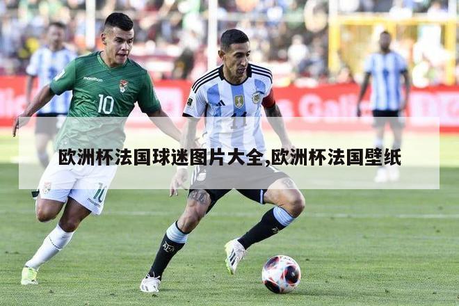 欧洲杯法国球迷图片大全,欧洲杯法国壁纸