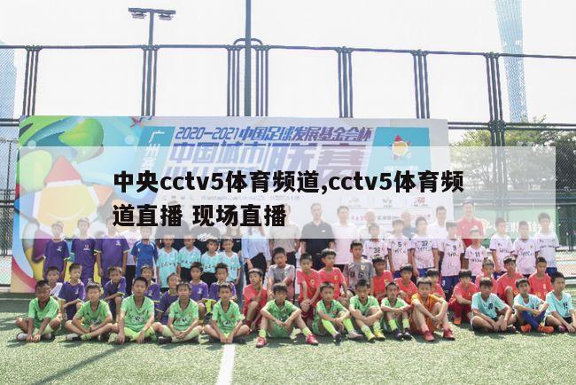 中央cctv5体育频道,cctv5体育频道直播 现场直播